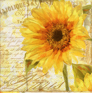 Servilleta 1330-9655