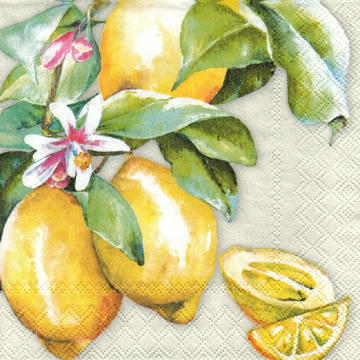 Servilleta 1331-8335