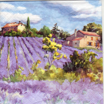 Servilleta 344623