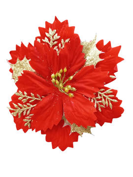 NAV.FLOR ROJO/ORO 2021-4 