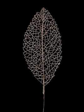 NAV.RAMA ORO VIEJO 30CM 81870-C