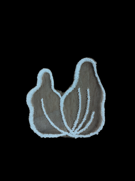 APLICACION NOVIA 112  4.5X4.5CM PQ10